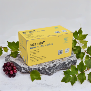 Bơm Nước Ngưng Điều Hòa Việt Tiến – Công Nghệ Mới, Giá Cạnh Tranh