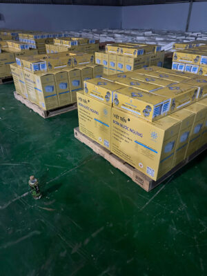 Máy Bơm Nước Việt Tiến